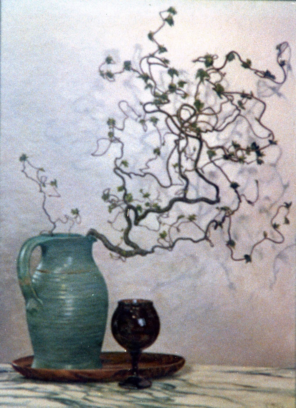 Contorted Hazel 1987 Oil on Panel 22 x 30